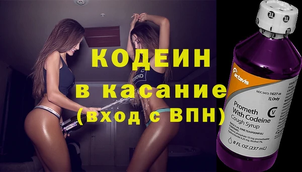 гидра Арсеньев