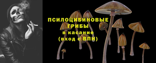 гидра Арсеньев