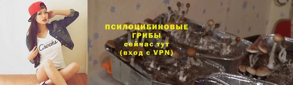 apvp Аркадак