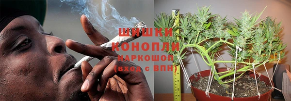 гидра Арсеньев