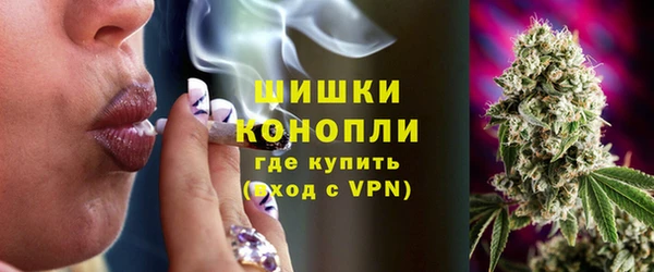 гидра Арсеньев